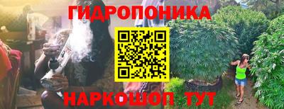 гашик Бугуруслан