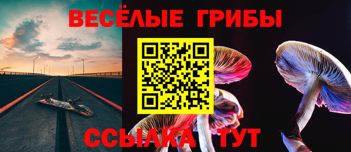 Псилоцибиновые грибы Psilocybine cubensis  Вход с VPN  Псилоцибиновые грибы Magic Shrooms  Благовещенск 